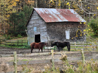 Friends of the trail